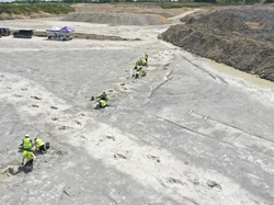 Heboh Jalan Tol Dinosaurus 166 Juta Tahun Ditemukan di Inggris