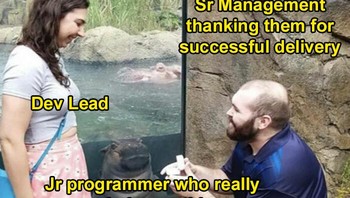 Kasian yang benar-benar kerja. Foto: (Bored Panda).