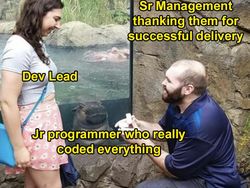 Meme Lucu Tapi Hanya Progammer yang Paham, Kamu Salah Satunya?