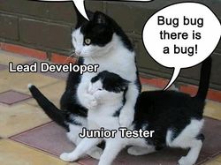 Meme Lucu Tapi Hanya Progammer yang Paham, Kamu Salah Satunya?