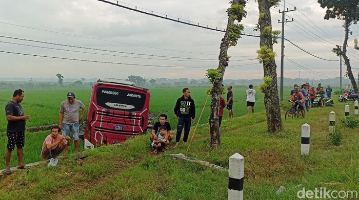 Bus masuk sawah usai tabrak pikap di Ngawi.