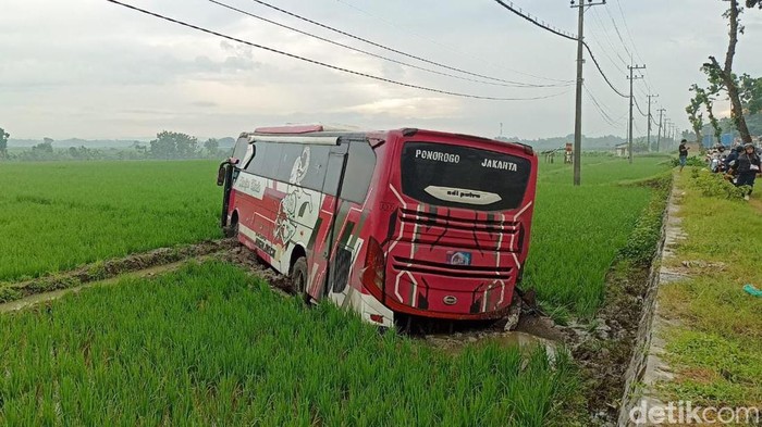 Bus masuk sawah usai tabrak pikap di Ngawi.