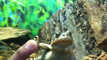 Tetap tos meski sedang kesal. (Foto: Boredpanda)