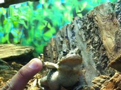 Bikin Gemas! Begini Ekspresi Hewan Ketika Sedang Marah