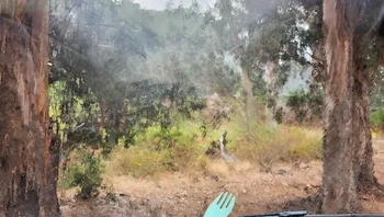 Pemandangan dari dalam camper van terlihat seperti lukisan. Foto: via BrightSide