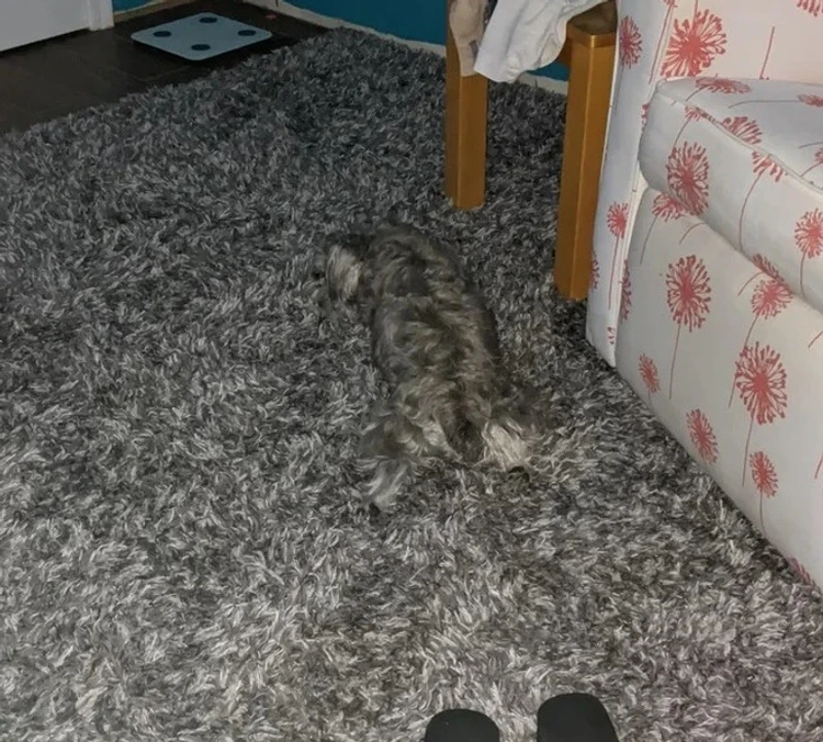 Foto ilusi opstik Foto ilusi opstik