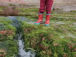 Kumpulan Foto yang Bikin Kucek-kucek Mata Melihatnya