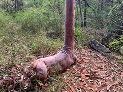 Kumpulan Foto yang Bikin Kucek-kucek Mata Melihatnya