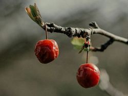 Fotografer Ini Tunjukkan Keindahan Ada di Keseharian