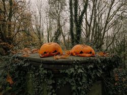 Fotografer Ini Tunjukkan Keindahan Ada di Keseharian