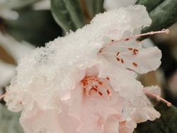 Fotografer Ini Tunjukkan Keindahan Ada di Keseharian