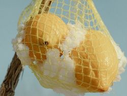 Fotografer Ini Tunjukkan Keindahan Ada di Keseharian