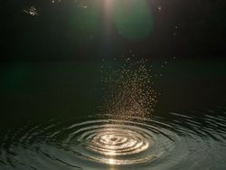 Fotografer Ini Tunjukkan Keindahan Ada di Keseharian