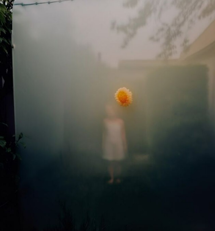 Fotografi objek sehari-hari Objek foto menarik tak harus sesuatu yang megah, atau perlu bepergian jauh dulu. Alina Trifan menunjukkan hal-hal di keseharian kita juga bisa sangat menarik.