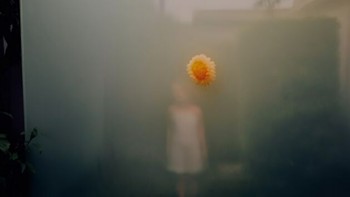 Objek fotonya mulai potongan jeruk, rantai yang tergantung, bunga yang tertutup salju, percikan air, dan masih banyak lagi. Foto: Alina Trifan via BoredPanda