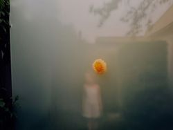 Fotografer Ini Tunjukkan Keindahan Ada di Keseharian