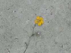 Fotografer Ini Tunjukkan Keindahan Ada di Keseharian