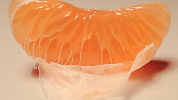 Objek foto menarik tak harus sesuatu yang megah, mewah, atau perlu bepergian jauh dulu untuk mendapatkannya. Foto: Alina Trifan via BoredPanda