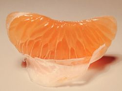 Fotografer Ini Tunjukkan Keindahan Ada di Keseharian