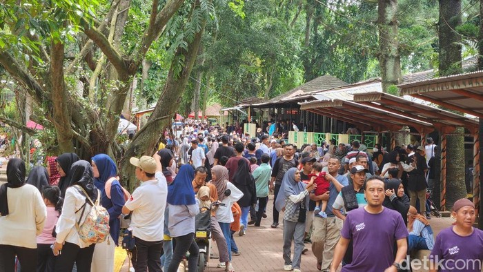 Kawasan Taman Margasatwa (TM) Ragunan dipadati 54.900 pengunjung di libur panjang terakhir sekolah (Adrial/detikcom)