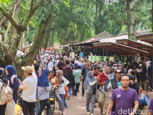 Pengunjung Ragunan Diingatkan Tak Terlalu Dekat Kandang, Jangan Ganggu Satwa