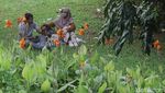 Serunya Liburan Bareng Keluarga di Tebet Eco Park Jakarta