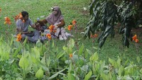 Suasana yang asri membuat warga betah berlama-lama di taman tersebut. 