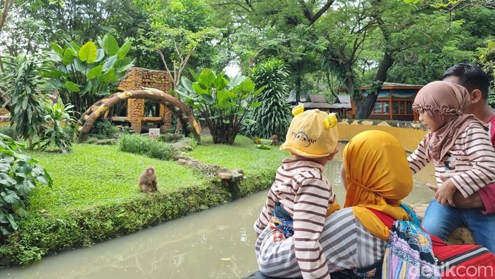 Pengunjung KBS saat libur Nataru.