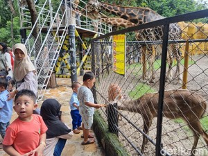 210.338 Orang Kunjungi KBS Selama Libur Nataru