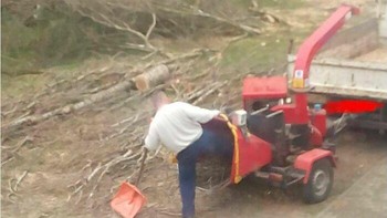 Fungsi sekop untuk apa ya? Foto: (Bored Panda).