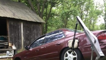 Dongkrak terkuat. Foto: (Bored Panda).