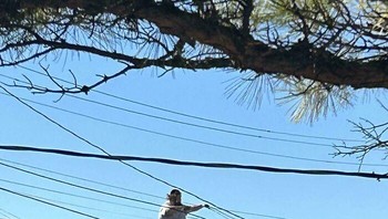 Sepertinya dia sedang berupaya mengumpulkan energi listrik ke dalam tubuh. Foto: (Bored Panda).