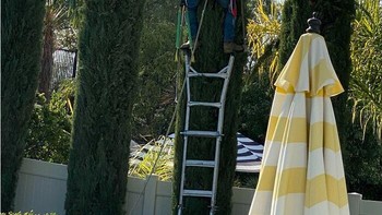 Bentar deh, kayaknya ada yang terbalik. Foto: (Bored Panda).