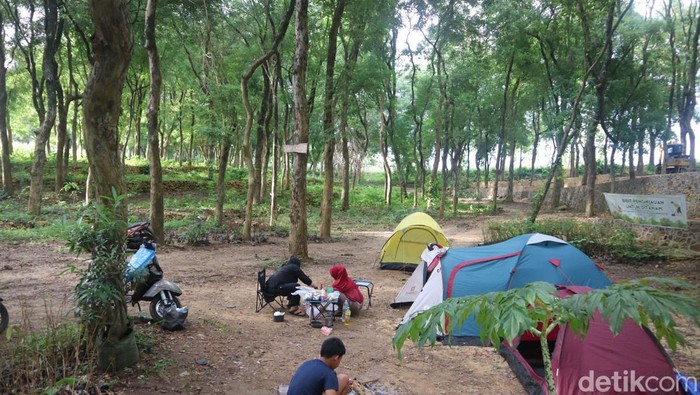 Bumi perkemahan di tengah alas Sonokeling Desa Sukolilo, Kecamatan Sukolilo, Kabupaten Pati, Minggu (5/1/2025).