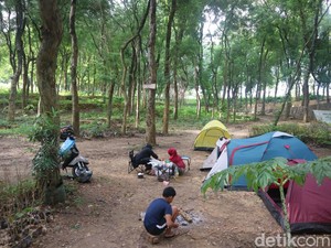 Camping di Alas Sonokeling Pati, Disambut Hawa Sejuk dan Pemandangan Indah