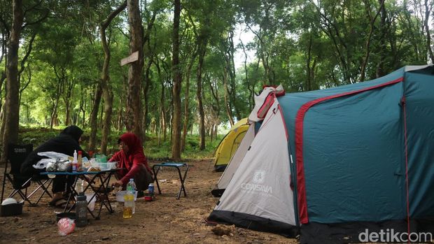 Bumi perkemahan di tengah alas Sonokeling Desa Sukolilo, Kecamatan Sukolilo, Kabupaten Pati, Minggu (5/1/2025).