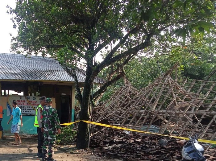 Dua Ruang Kelas SDN Pejok 1 Bojonegoro Ambruk tertimpa pohon tumbang