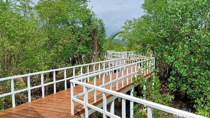 Ekowisata Mangrove Babakan Pangandara
