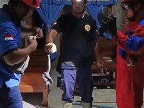 Mak Jegagik! Ada Ular Kobra Jawa 1 Meter di Rumah Warga Gunungkidul
