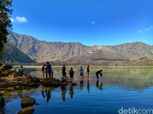 Suasana Gunung Rinjani Lombok. (Ahmad Viqi/detikBali).