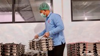 Dapur ini puya 250 tenaga kerja yang teridiri dari chef, helper kitchen, packer, sopir, asisten aapangan, dll.