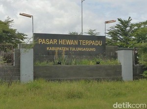 Pasar Hewan di Tulungagung Ditutup Seiring Meningkatnya Kasus PMK