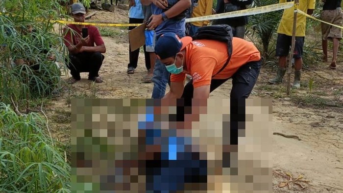 Pekebun di Tebo tewas digorok sopir sawit.