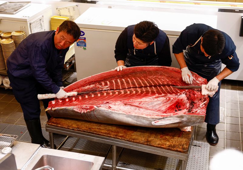 A 276-kilogram bluefin tuna that was auctioned for 207 million Japanese yen (about 1.3 million U.S. dollars), which was bought jointly by sushi restaurant operator Onodera Group and wholesaler Yamayuki, is carried into an Onodera sushi restaurant after the first tuna auction of the New Year in Tokyo, Japan January 5, 2025. REUTERS/Issei Kato