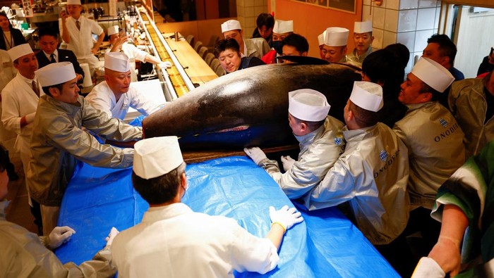 A 276-kilogram bluefin tuna that was auctioned for 207 million Japanese yen (about 1.3 million U.S. dollars), which was bought jointly by sushi restaurant operator Onodera Group and wholesaler Yamayuki, is carried into an Onodera sushi restaurant after the first tuna auction of the New Year in Tokyo, Japan January 5, 2025. REUTERS/Issei Kato