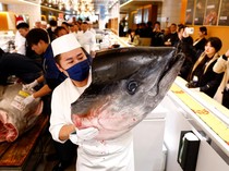 Buat yang Sanggup-sanggup Bayar Aja, Ini 6 Ikan Termahal di Dunia