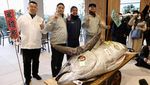 Penampakan Tuna Raksasa 276 Kg Terjual Rp 21 Miliar di Jepang