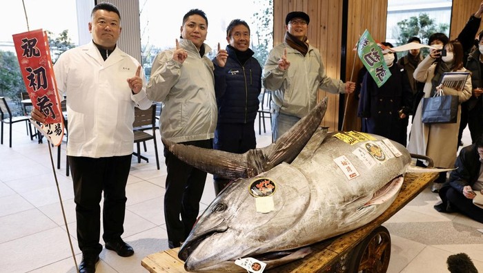 Penampakan Tuna Raksasa 276 Kg Terjual Rp 21 Miliar di Jepang A 276-kilogram bluefin tuna that was auctioned for 207 million Japanese yen (about about 1.3 million U.S. dollars), which was bought jointly by sushi restaurant operator Onodera Group and wholesaler Yamayuk, is displayed after the first tuna auction of the New Year at Toyosu Market, in Tokyo, Japan January 5, 2025, in this photo taken by Kyodo. Mandatory credit Kyodo/via REUTERS ATTENTION EDITORS - THIS IMAGE HAS BEEN SUPPLIED BY A THIRD PARTY. MANDATORY CREDIT. JAPAN OUT. NO COMMERCIAL OR EDITORIAL SALES IN JAPAN.
