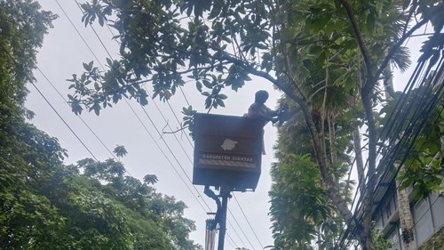 Dinas PU Gianyar memangkasa pohon di Jalan Campuhan Ubud, Gianyar, Senin (6/1/2025). (foto : dok Camat Ubud).