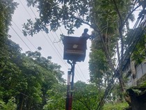 Tiga Kali Tumbang-Timpa Mobil, Pepohonan di Campuhan Ubud Ditebang